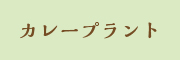 カレープラント