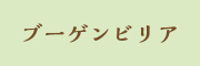 ブーゲンビリア